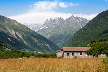 Amazing mountain landscape in Svaneti, Georgia on a sunny day. At the foot of a single-story building and field with yellow plants. Magnificent Caucasus.