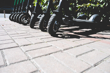 Electric scooters stand in a row on the road in a park area. Modern transport for recreation and...