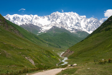 Fototapeta na wymiar Beautiful mountain landscape in Georgia Svaneti. The snow-capped peaks of mount Shkhara near the Ushguli village are visible on a sunny day. A river flows between the green hills