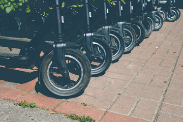Electric scooters stand in a row on the road in a park area. Modern transport for recreation and...