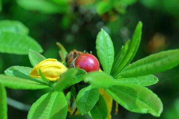 moments under the sun light