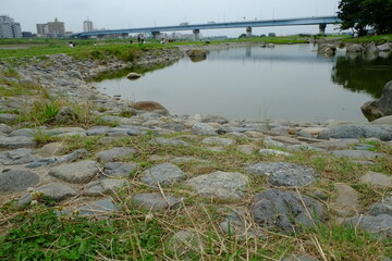 橋を向こうに見た多摩川の曲線