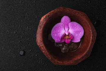 Pink orchid (Phalaenopsis) flower in a bowl of water and crystals on a black background