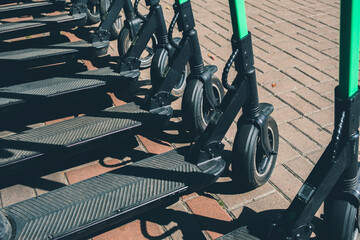 Electric scooters stand in a row on the road in a park area. Modern transport for recreation and...