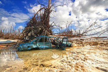 Huge tree trunk on top of a vehicle by a ocean coast