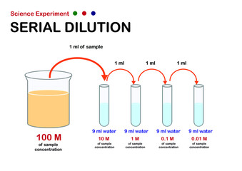 Scientific experiment diagram show concept of serial dilution for decrease concentration of sample solution