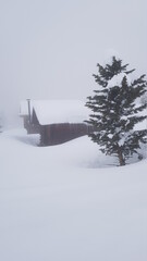 Skiing in the beautiful mountains of the Laax ski resort in Flims, Switzerland