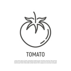 Tomato thin line icon. Vegetarian organic healthy food. Vector illustration.