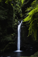Fototapeta na wymiar Wasserfall - Madeira
