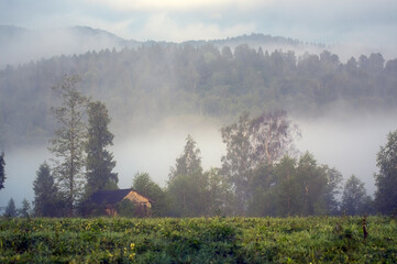 Widok drewnianej chatki stojącej na skraju łąki we mgle