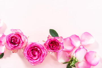 Pink roses