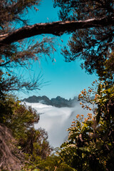 Fototapeta na wymiar Berglandschaft - Madeira