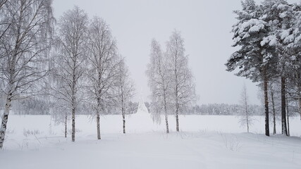 Fototapeta na wymiar The snow covered beautiful landscape of Swedish Lapland outside of Lycksele, Sweden
