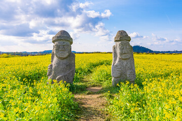 Iconic stone figures with Yellow Canola Field in the background, on Jeju Island, South Korea.  - obrazy, fototapety, plakaty