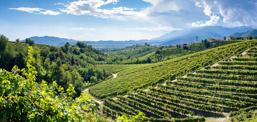 Valdobbiadene Treviso, Italy: hills and vineyards - 376090856