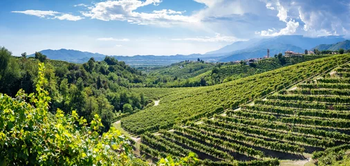Fototapeten Valdobbiadene Treviso, Italy: hills and vineyards © Stillkost