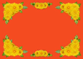 Naklejka na ściany i meble decorative group of dandelions on an orange background
