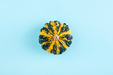 decorative pumpkin on a blue background, side view, minimalism
