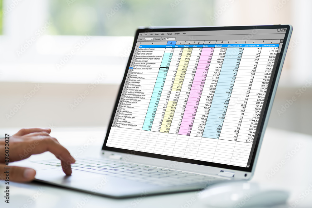 Poster computer spreadsheet. analyst employee working
