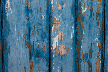 Vintage blue rough background with cracks and flakes of old paint, from old boards. Ability to insert text
