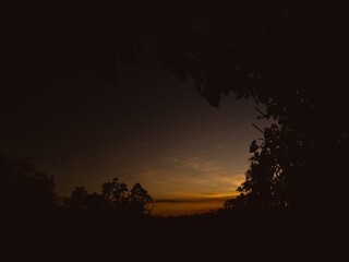 Fototapeta premium sunset in the forest