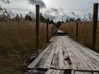 Wooden path through the field