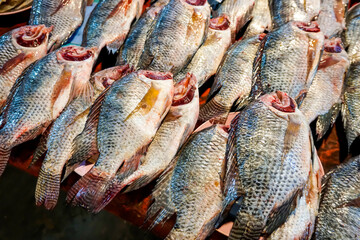 Tilapia fish, local food of Thailand.