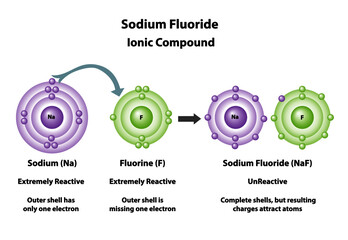 Ionic compounds formed showing how atoms bond. Sodium and Fluorine molecular elements bond to create sodium fluoride. - obrazy, fototapety, plakaty