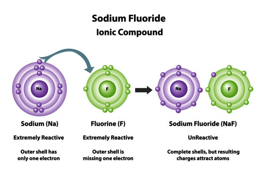 Ionic compounds formed showing how atoms bond. Sodium and Fluorine molecular elements bond to create sodium fluoride.