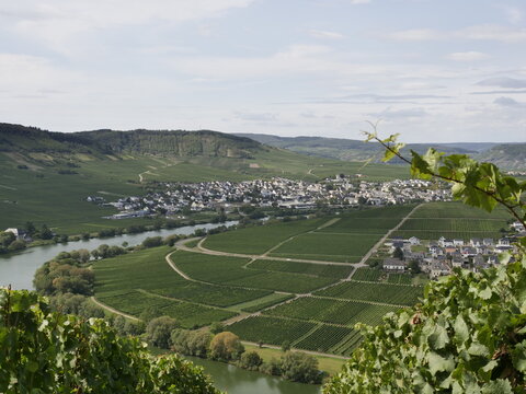 Leiwen an der Mosel