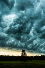 Fototapeta na wymiar menacing and impressive storm clouds over the green, wild forest