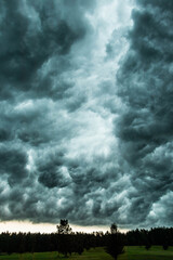 
menacing and impressive storm clouds over the green, wild forest