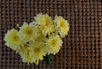 A bunch of yellow chrysanthemum on rough brown twine structure