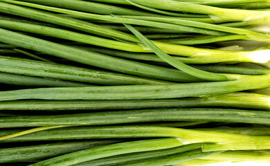 Fresh green onions as a background. View from above.