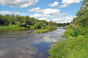 River scape in the summer