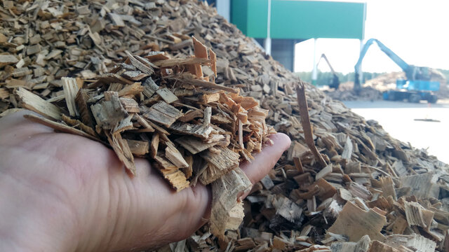 Alternative fuel, ecological fuel, biofuel Wood sawdust from charcoal, wood sawdust background close-up. Sawdust texture
