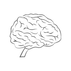 Human brain line icon. Internal human organ in flat style vector illustration isolated on white.