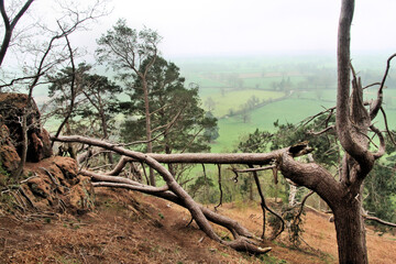 A view of Shropshire at Grinshill