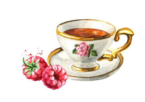 Cup of tea with Raspberry. Hand drawn watercolor illustration isolated on white background