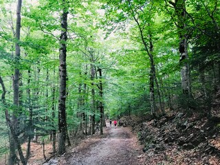 Ordesa y Monte Perdido