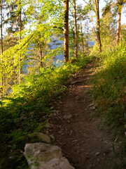 Fototapeta premium Wanderpfad