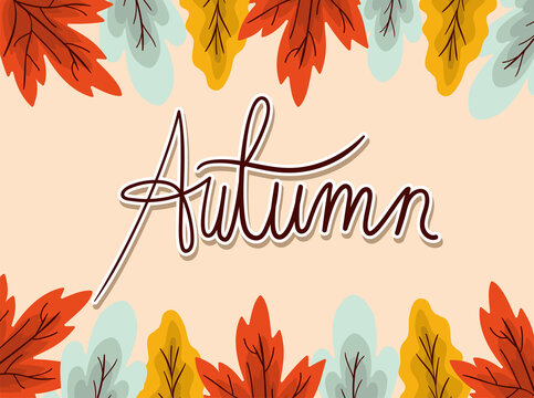 autumn leaves frame vector design