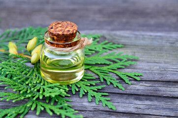 Thuja aroma essential oil in a glass jar for spa,aromatherapy and body care on old wooden background.Herbal medicine concept.Selective focus.