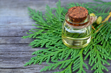 Thuja aroma essential oil in a glass jar for spa,aromatherapy and body care on old wooden background.Herbal medicine concept.Selective focus.
