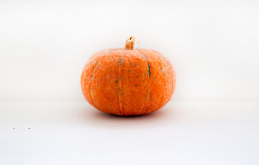 an orange ripe pumpkin on the white background