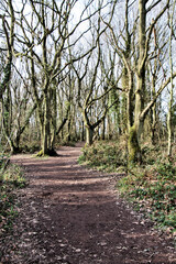 A view of the Shropshire Countryside near Shrewsbury