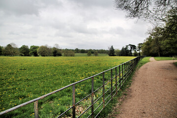 Fototapeta na wymiar A view of the Shropshire Countryside near Shrewsbury