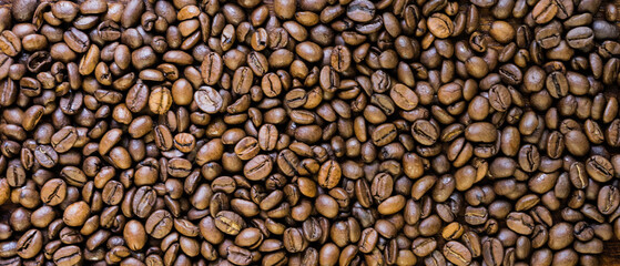 Coffee beans background. Background of roasted coffee beans