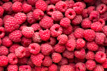 lots of red sweet raspberries, top view pattern
