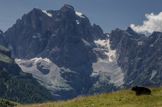 Central Brenta mountain group range as seen from Monte Spinale high plateau, above Madonna di Campiglio village, Brenta [Western] Dolomites, Rhaetian Alps, Trentino, Trento, Italy.